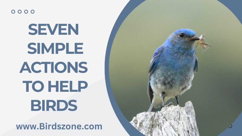 Seven Simple Actions to Help Birds