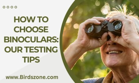 How To Choose Binoculars: Our Testing Tips