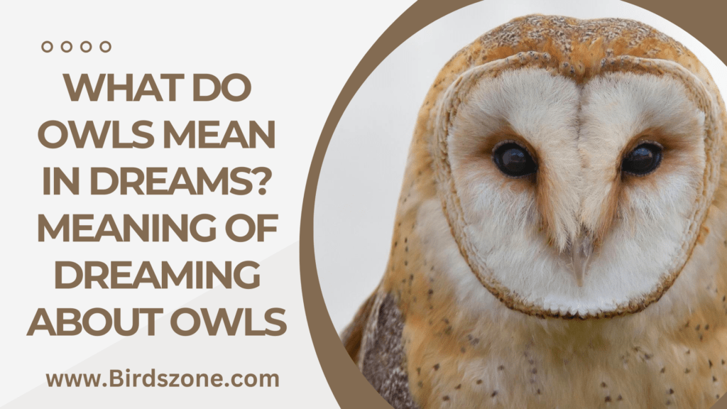 What Do Owls Mean in Dreams? Meaning of Dreaming About Owls