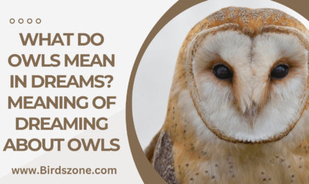 What Do Owls Mean in Dreams? Meaning of Dreaming About Owls