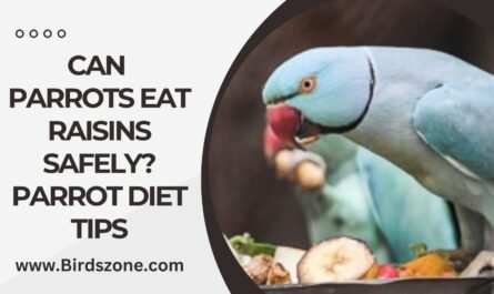 Can Parrots Eat Raisins Safely? Parrot Diet Tips