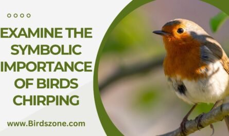 Examine the Symbolic Importance of Birds chirping