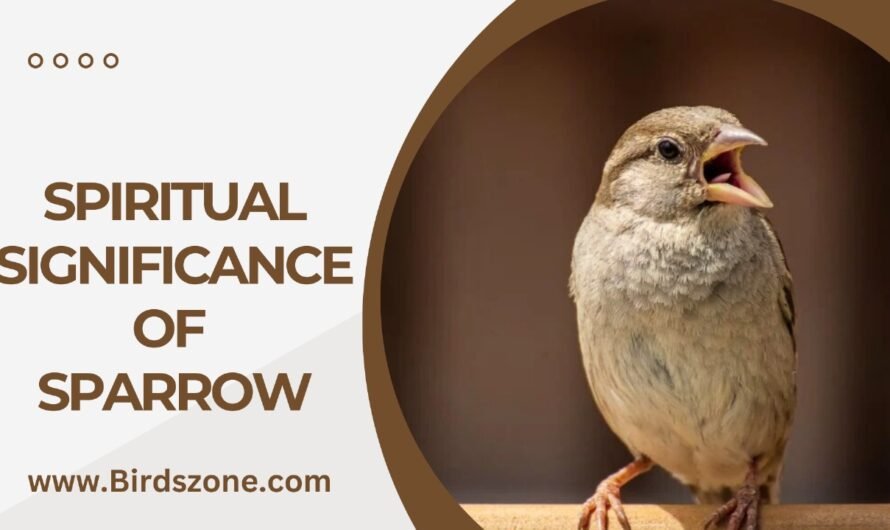 Spiritual Significance of Sparrow