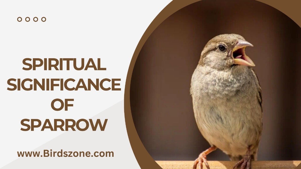 Spiritual Significance of Sparrow